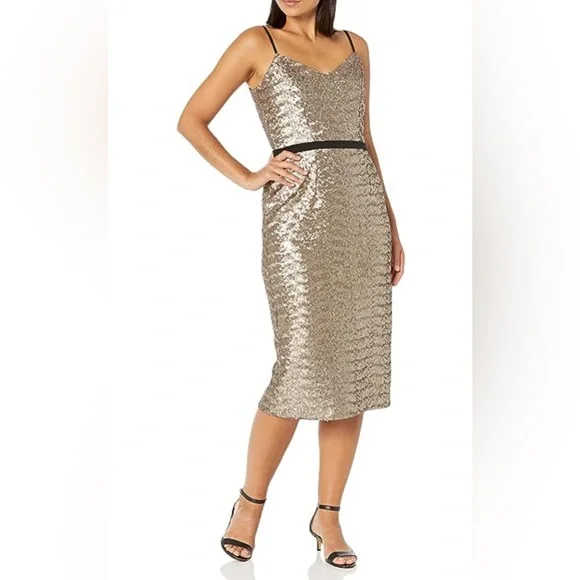 Dress the Population | Dresses | Dress The Population Emma Sequin  Sleeveless Fitted Dress Womens Size L Nwt | Poshmark